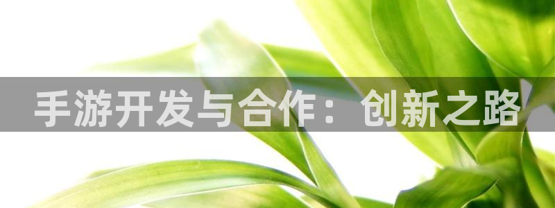摩根娱乐网址是什么：手游开发与合作：创新之路