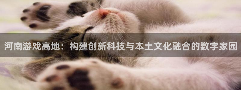 摩根娱乐平台：河南游戏高地：构建创新科技与本土文化融合的数字