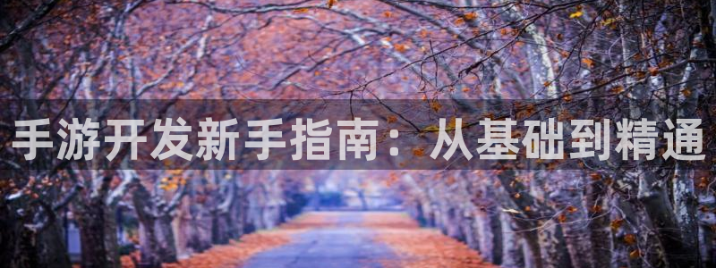 摩根娱乐是个什么平台啊：手游开发新手指南：从基础到精通