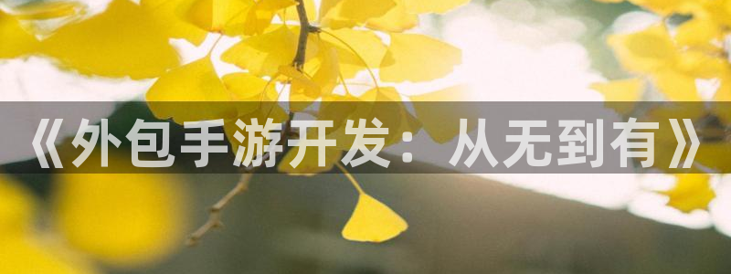 摩根娱乐挂机教程视频