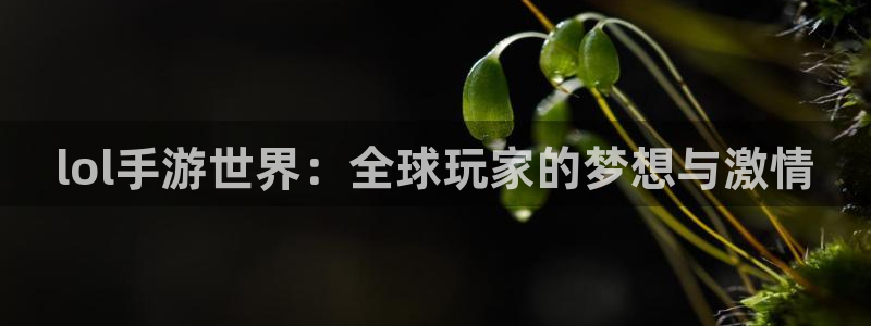 摩根娱乐这个平台怎么样呀知乎：lol手游世界：全球玩家的梦想