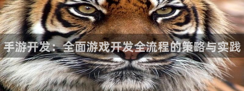 摩根娱乐云挂机教程：手游开发：全面游戏开发全流程的策略与实践