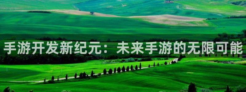 摩根娱乐网址是什么：手游开发新纪元：未来手游的无限可能