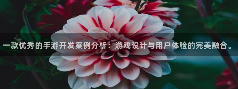 摩根娱乐app下载安装苹果：一款优秀的手游开发案例分析：游戏