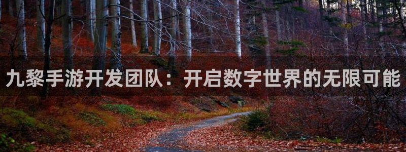 摩根娱乐是正规公司吗：九黎手游开发团队：开启数字世界的无限可